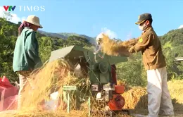 Lai Châu: Xóa đói giảm nghèo cho người Mảng còn gặp nhiều khó khăn