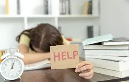 Dinh dưỡng cho các sỹ tử phụ huynh cần biết