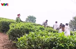 Hướng nghiệp, đào tạo nghề giúp học viên cai nghiện ma túy tái hòa nhập cộng đồng