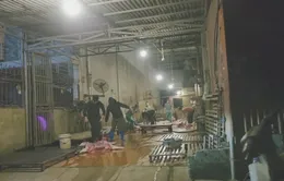 Vì sao lò mổ không phép vẫn tồn tại hàng thập kỷ?