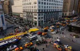 Trải nghiệm làm "người New York thổ địa"
