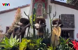 Thăm phố cổ San Diego - Cái nôi của California