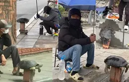 Rùa trong sách Đỏ bán tràn lan ở vỉa hè Hà Nội