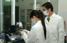 Chế độ bồi dưỡng giám định tư pháp mới áp dụng từ 20/5/2025