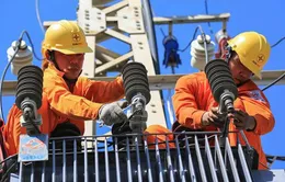 Nhu cầu điện tại TP Hồ Chí Minh sẽ tăng cao trong mùa nắng nóng 2025