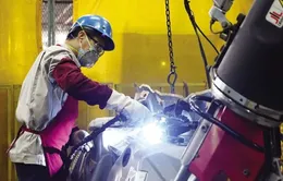 Doanh nghiệp, chuyên gia đánh giá cao phản ứng chính sách của Việt Nam