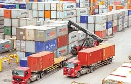 Ổn định thương mại, bình tĩnh ứng phó thuế quan