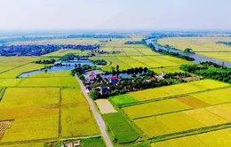 Gia hạn thời hạn nộp thuế và tiền thuê đất năm 2025