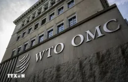 WTO lo ngại thương mại toàn cầu giảm 1%