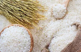 Giá gạo xuất khẩu tăng trở lại