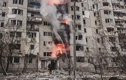 Tổng thống Nga Putin ủng hộ lệnh ngừng bắn ở Ukraine
