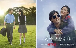 Đề cử Baeksang 2025 gây thất vọng?