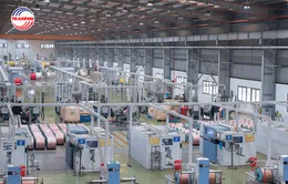 Dây cáp điện Trần Phú - Không chỉ là sản phẩm, mà còn là văn hóa