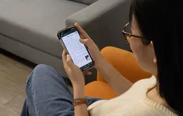 Cải cách hành chính thu hút sự quan tâm đặc biệt của người dùng Việt