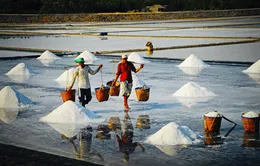 Du lịch xanh: Làm sao cho hiệu quả?