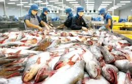 Cơ hội xuất khẩu hàng hoá sang Nga