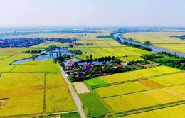 Giảm 30% tiền thuê đất năm 2024