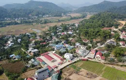 Bắc Kạn: 3 tháng đầu năm, nông nghiệp, nông thôn khởi sắc