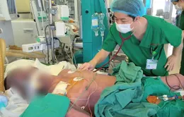 Mắc liên cầu lợn nguy kịch sau khi ăn lòng lợn