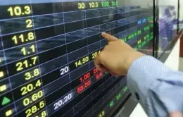 VN-Index nối dài chuỗi tăng điểm