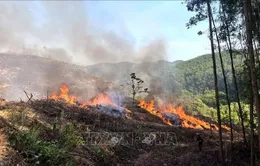 Cao Bằng tăng cường phòng chống cháy rừng