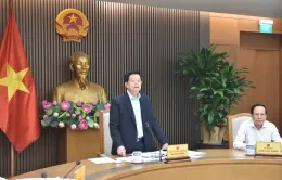 'Tổ chức Đại lễ Vesak 2025 trang nghiêm, tuyệt đối an toàn'