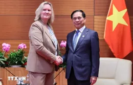 Phó Thủ tướng Bùi Thanh Sơn tiếp Quốc vụ khanh Bộ Ngoại giao Đan Mạch