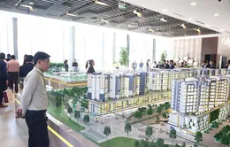 Săn đất theo “sóng” sáp nhập: Cẩn thận kẻo "bỏng tay"