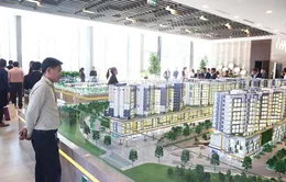 Savills: Hà Nội "tuyệt chủng" căn hộ dưới 2 tỷ đồng