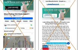 TP Hồ Chí Minh: Cảnh báo về các dịch vụ giả mạo chứng chỉ hành nghề trong lĩnh vực y, dược