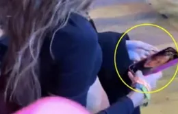 Lisa (BLACKPINK) dùng ảnh CEO Frédéric Arnault làm hình nền điện thoại