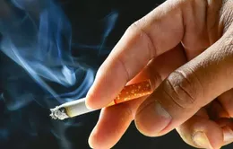Thuốc lá nguyên nhân chính dẫn đến bệnh phổi tắc nghẽn mạn tính