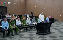 Cựu Giám đốc Công ty Mua bán điện ký hồ sơ COD dù địa điểm giữa hồ sơ và thực tế "không trùng khớp"
