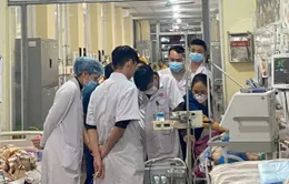 Bị hươu tấn công, bệnh nhân cao tuổi nhập viện nguy kịch với 14 xương sườn gãy