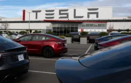 Tesla "bắt tay" các công ty bán dẫn Ấn Độ