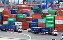 Hoàn thiện hạ tầng logistics để thúc đẩy tăng trưởng