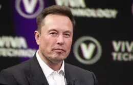 Doanh thu, lợi nhuận Tesla giảm "không phanh", Elon Musk rút dần khỏi DOGE