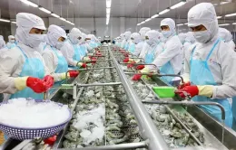 Doanh nghiệp thủy sản tìm hướng đi mới