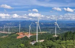Quảng Trị chấm dứt chủ trương đầu tư 5 dự án điện gió chậm tiến độ