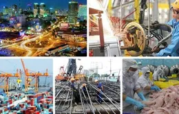 Thủ tướng ký quyết định Thành lập Hội đồng Tư vấn chính sách