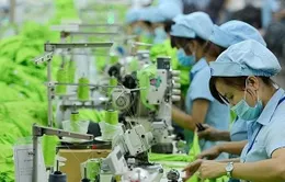 Thiếu vốn cản bước doanh nghiệp chuyển đổi xanh