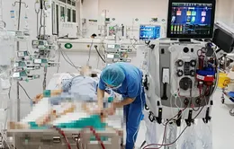 Ứng dụng ECMO và lọc máu hấp phụ cứu sống bệnh nhân ngộ độc thuốc