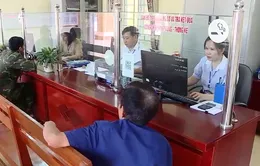 Cơ quan hành chính hoạt động hết công suất