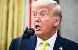 Ông Trump kêu gọi ông Putin “dừng lại”