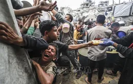 Liên hợp quốc hết thực phẩm cứu trợ cho Dải Gaza