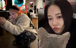 Tin đồn G-Dragon và Jooyeon hẹn hò lại bùng nổ lại