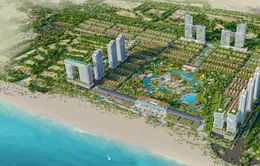 Một doanh nghiệp trúng đấu giá khu đất 60ha ở TP Vũng Tàu hơn 7.728 tỷ đồng
