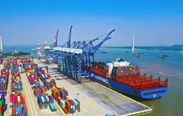 Đề xuất quy định mới về tổ chức, hoạt động của Cảng vụ hàng hải, Cảng vụ đường thủy nội địa