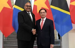 Phó Thủ tướng, Bộ trưởng Ngoại giao Bùi Thanh Sơn hội đàm với Bộ trưởng Ngoại giao và Hợp tác Đông Phi Tanzania
