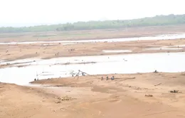 Hồ thuỷ lợi trơ đáy, hàng loạt cây trồng "khát nước"